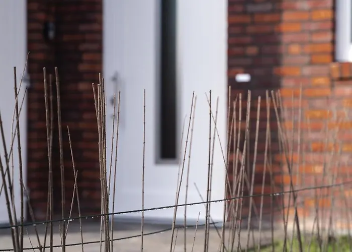 Deichliebe * Fedderwardersiel